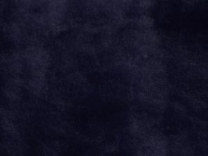 Bizet cardée  "bleu" n°24