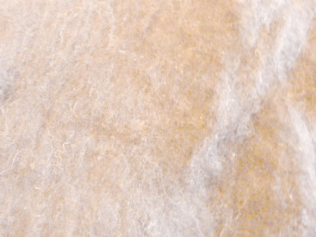 Laine cardée musée filature