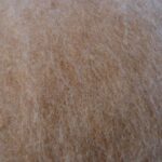 Bizet cardée "beige" n°15