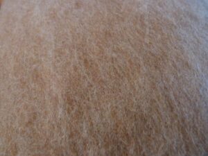 Bizet cardée "beige" n°15