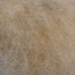 Laine de pays   "Thônes et marthod/Marron des Aravis"